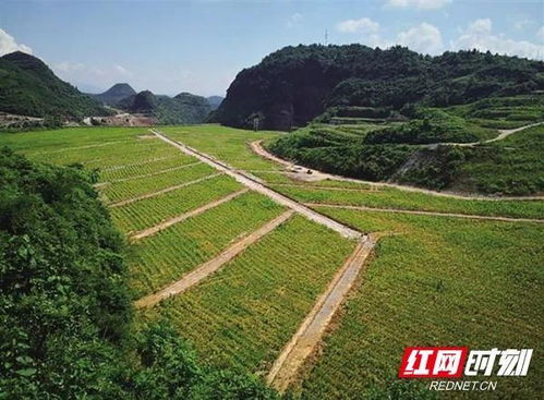 湖南生態環境保護 以“人民戰爭”匯聚磅礴力量，筑牢生態安全屏障